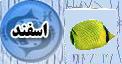 فال امروز متولد اسفند ، طالع امروز متولد اسفند