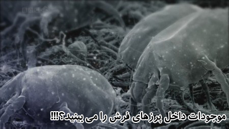 201003292110461419 مستند همزیستی انسان با موجودات زنده