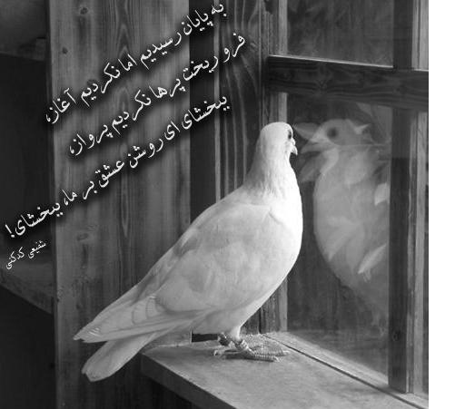 کارت پستال و اس ام اس عاشقانه، عارفانه و رمانتیک جدید تقدیم به شما
