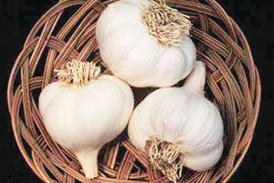 http://s1.picofile.com/file/5570125060/Photo_Irsalam_ir_18.jpg