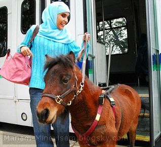 استفاده یک دختر نابینا از یک اسب به عنوان راهنما در آمریکا!