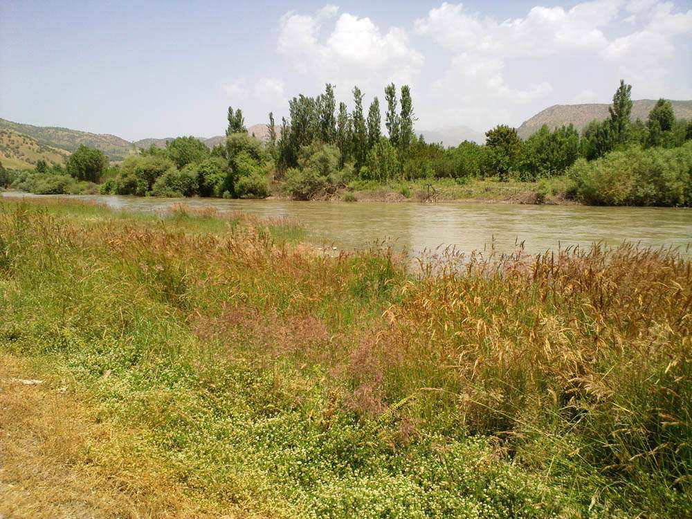 که لوی-سه رده شت