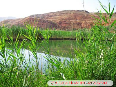 جزیره چملی http://s1.picofile.com/file/6252974844/chemli_ada.jpg