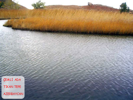 چملی آدا http://s1.picofile.com/file/6252985910/TIKAN_TEPE.jpg