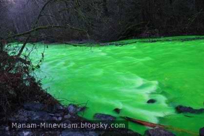 رودخانه ای با آب سبز رنگ