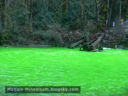 رودخانه ای با آب سبز رنگ