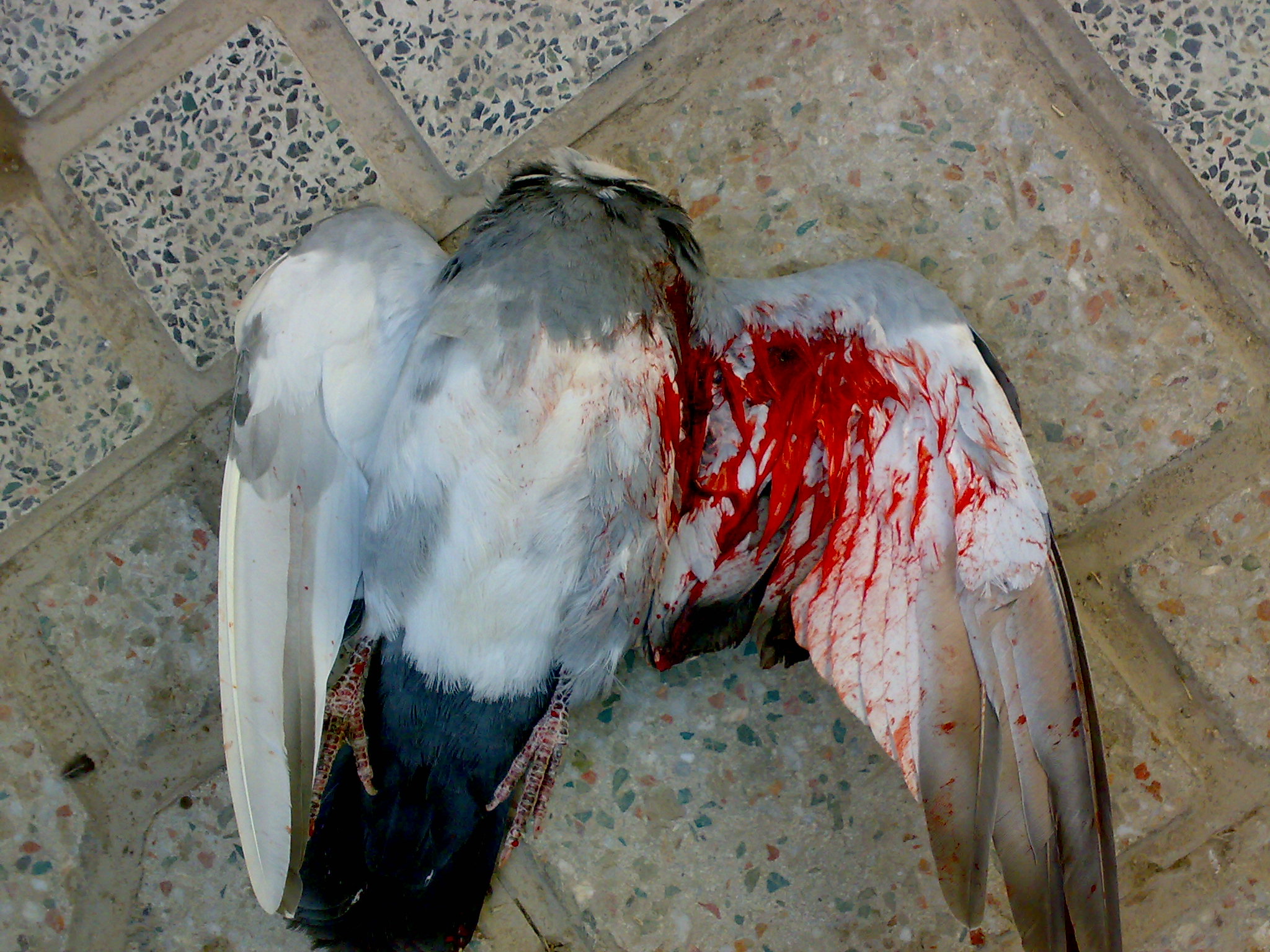 [تصویر: 02012008006.jpg]