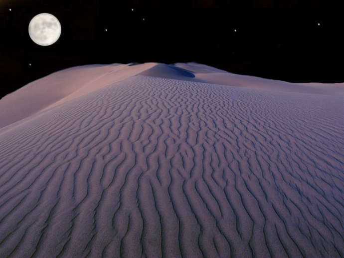 Desert_Night_l.jpg