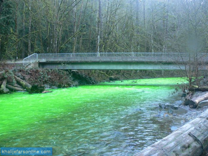 سبز شدن رودخانه در پارک Goldstream کانادا