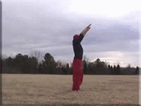back_flip