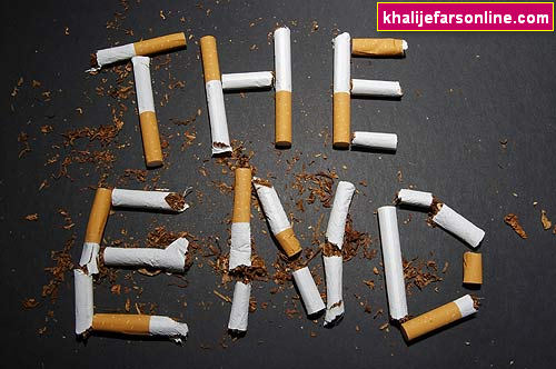 سایت خبری - تفریحی خلیج فارس آنلاین khalijefarsonline.com