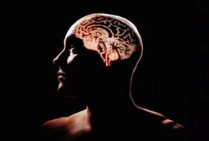 زیبایی و میزان هوش با هم تناسب دارند