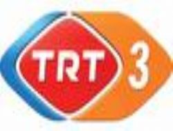 trt3logo.jpg