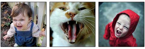 http://s1.picofile.com/file/6358107642/screaming_cats_and_kids.jpg