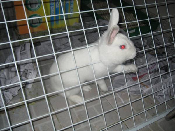 http://s1.picofile.com/file/6360231386/4762207.jpg