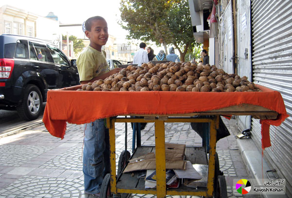 پسر گردو فروش / عکس: کاوش کهن