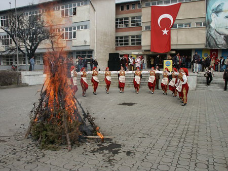 http://s1.picofile.com/file/6430758548/turkiye_otlar.jpg