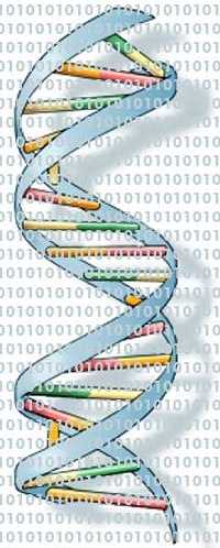 Bioinformatics