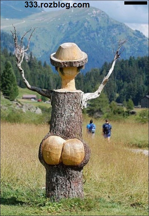 مجسمه ای که از تنه درخت ساخته شده و بسیار جذاب است 