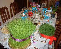 برای دیدن سایز اصلی کلیک کنید