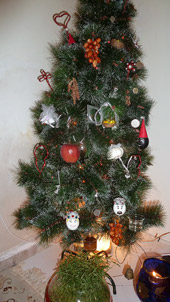 برای دیدن سایز اصلی کلیک کنید