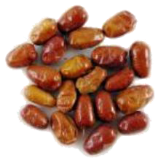 سنجد