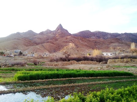 بهار
