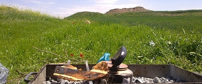 خدایا این سبزی بهار که نه ! بلکه کل لذتهای جهان هم؛ بی مهدی صفا نداره ....