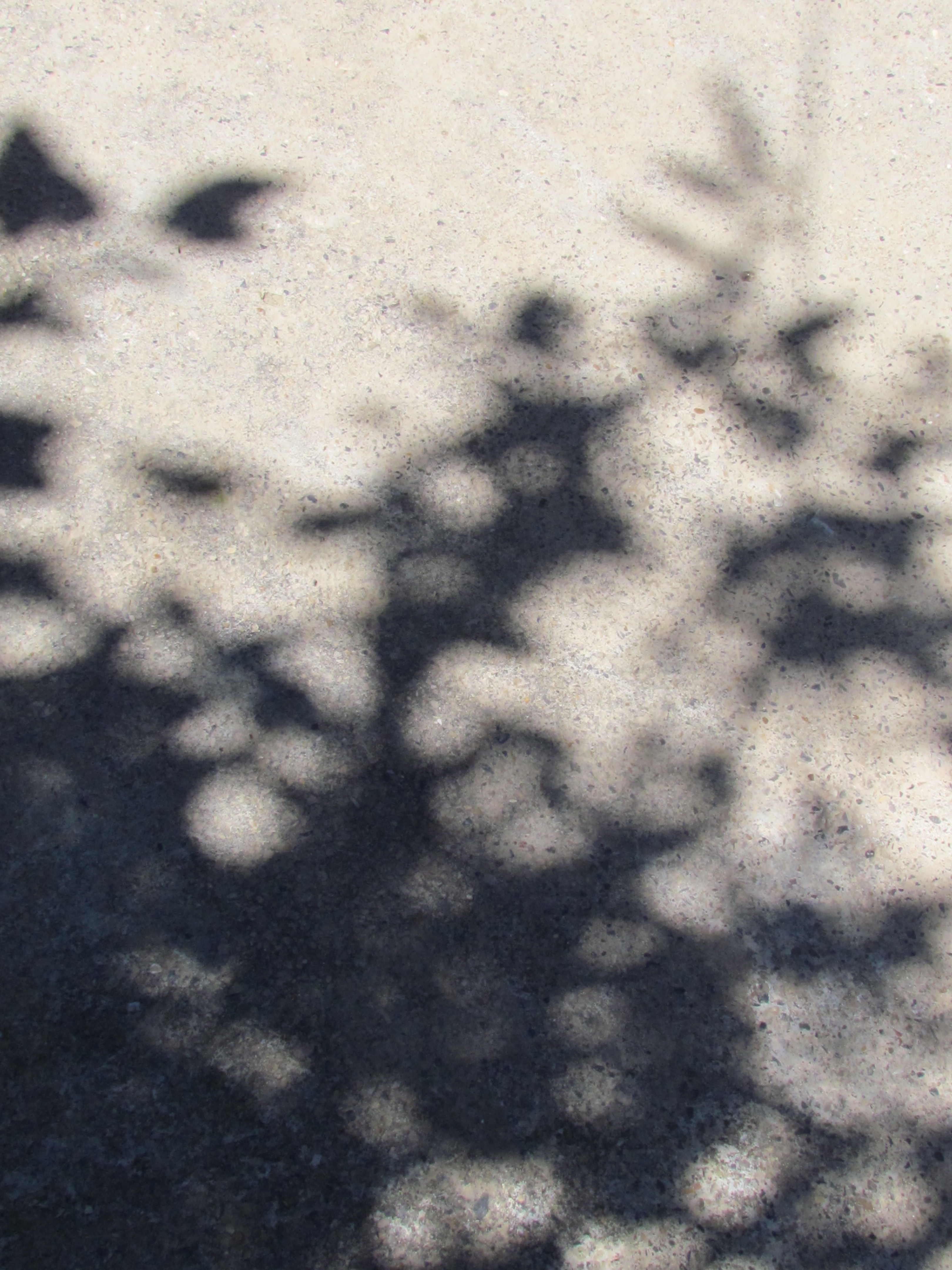http://s1.picofile.com/file/6532821926/aks_313.jpg