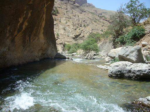 در ميان رودخانه