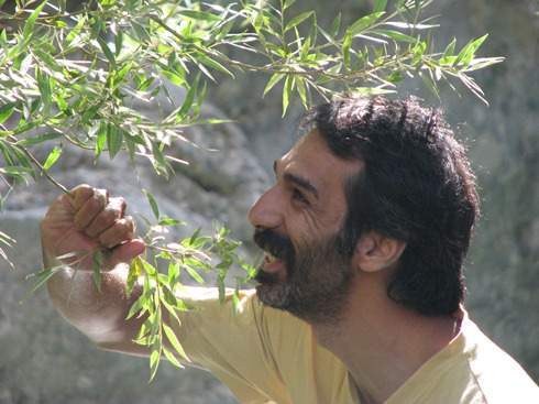 علی
