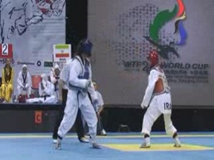 جام جهانی 2010