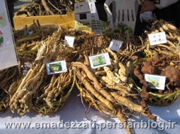 جشنواره ریشه های گیاهی در سئول