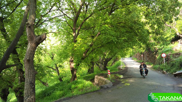 وبلاگ روستای خانقاه