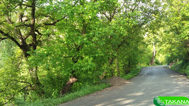 وبلاگ روستای خانقاه