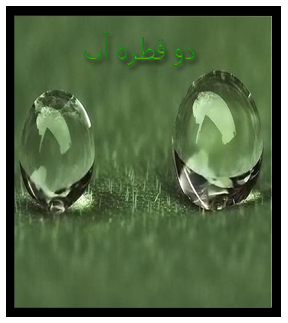 دو قطره آب- عشقولانه