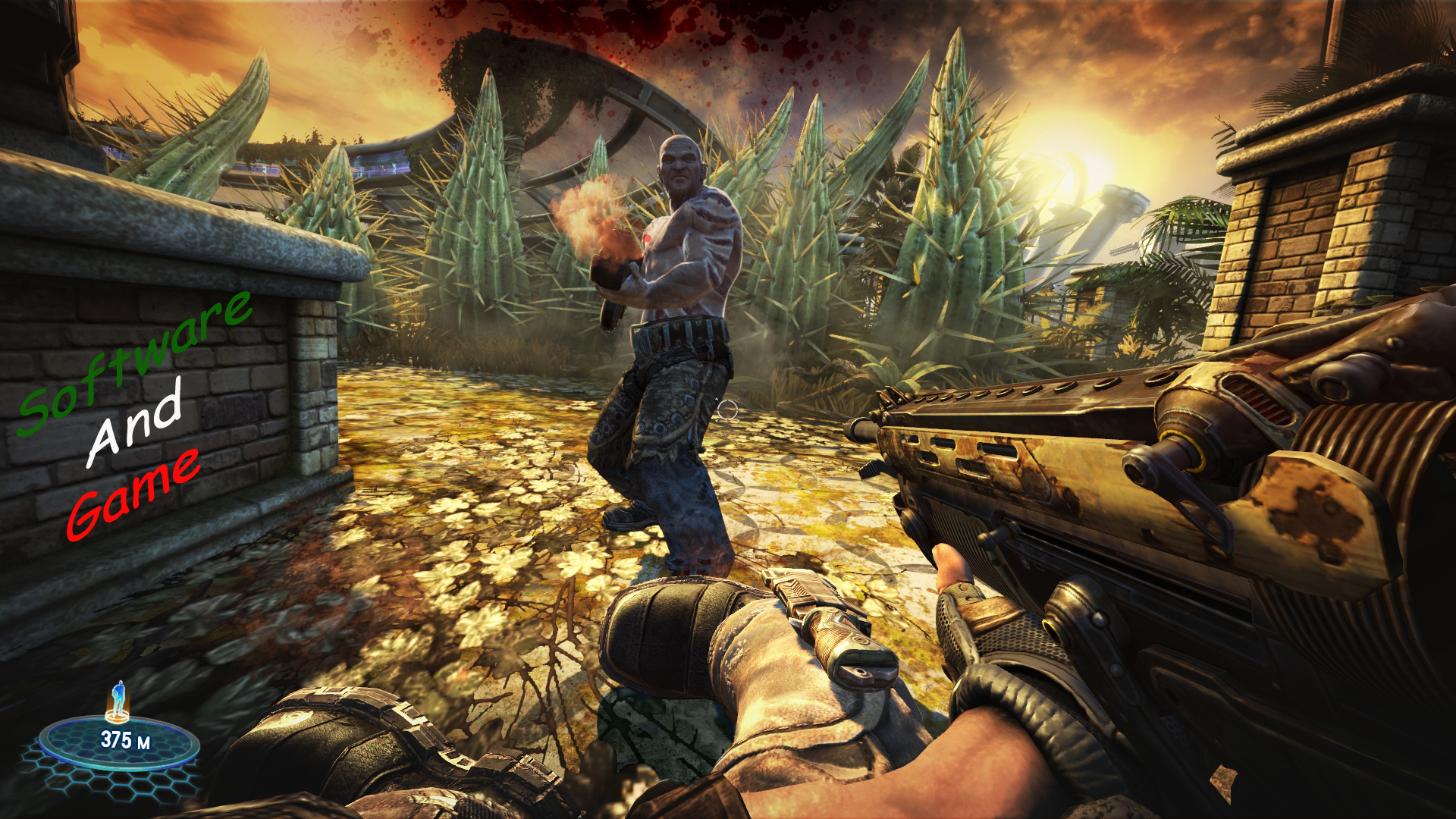 BulletStorm