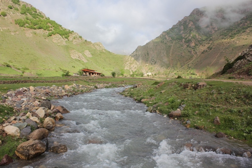 انتهی روستای دلیر
