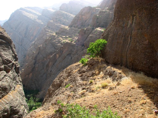 ادامه یکی از مارپیچهای بالای کمپ
