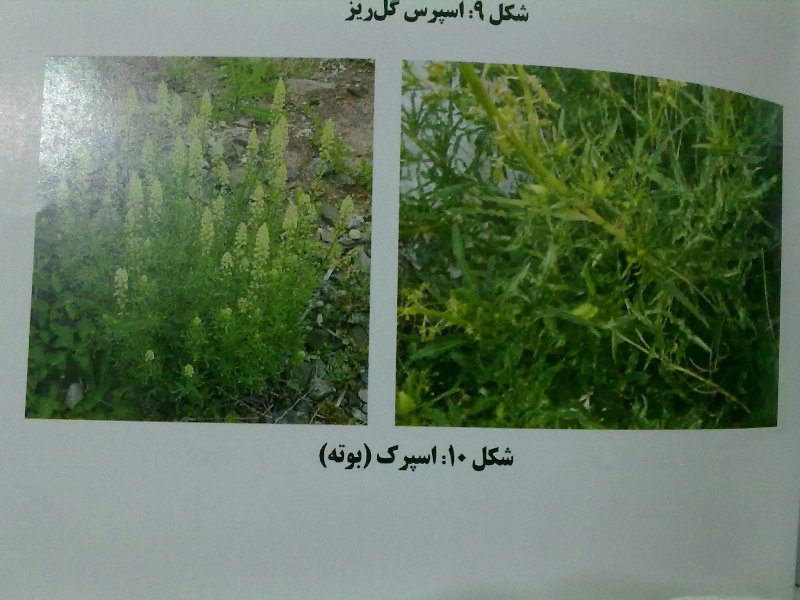 [تصویر: 17052011174.jpg]