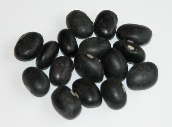 لوبیای سیاه Black Beans