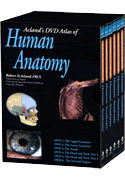 شریح کامل بدن انسان و آموزش آناتومی