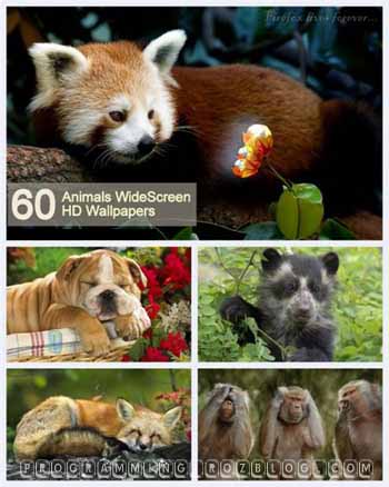 Best animal wallpaper