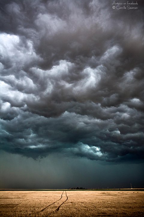 http://s1.picofile.com/file/6834700200/248800_154045661332240_100828189987321_314301_7933551_n.jpg