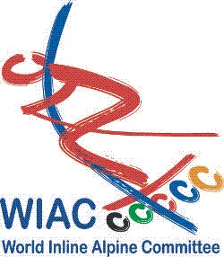 اسکیت