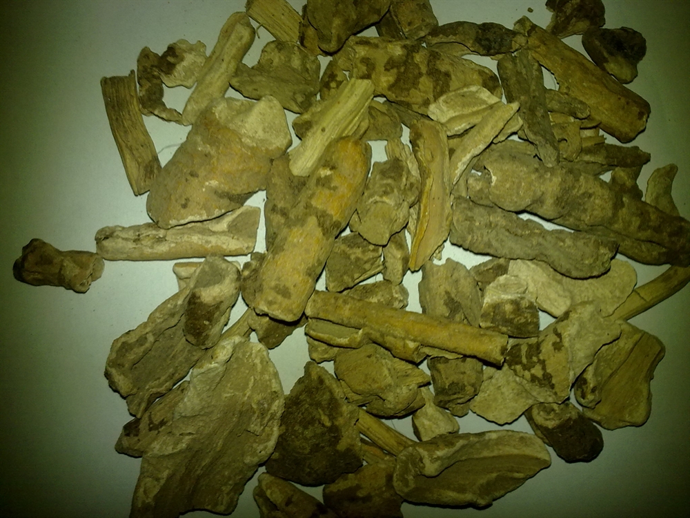 [تصویر: 24092009200.jpg]