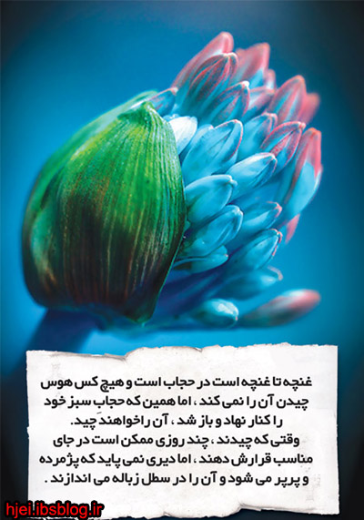 پوستر حجاب اسلامی
