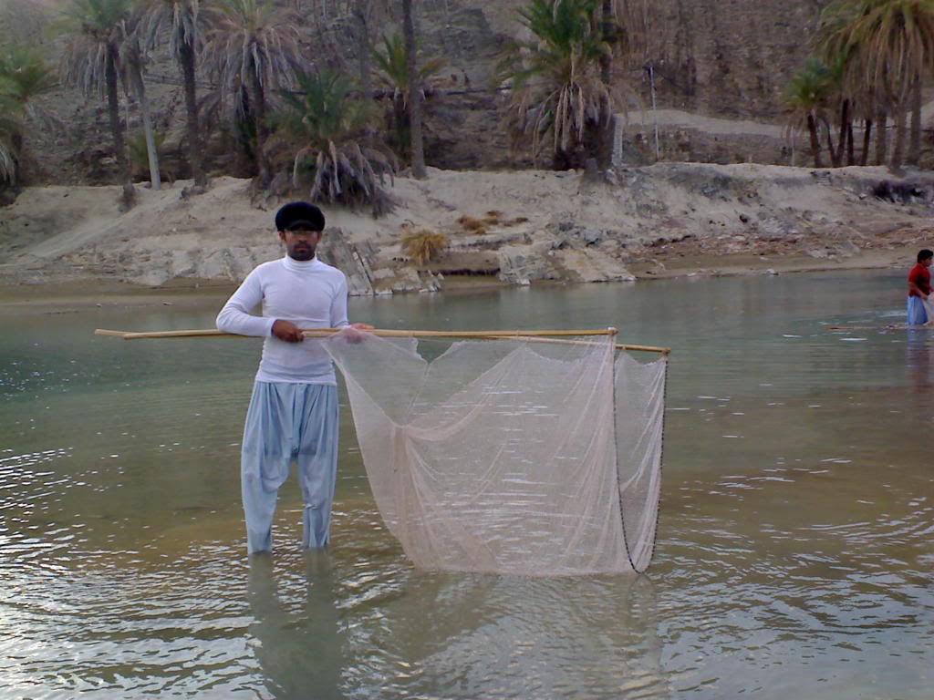 کوریگ ،ماهی کوچک روستای آبشکی نیکشهر