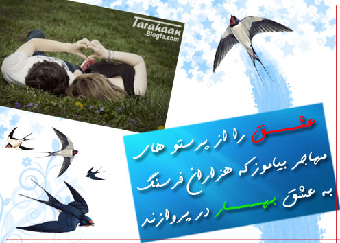 کارت پستال درخواستی طراحان