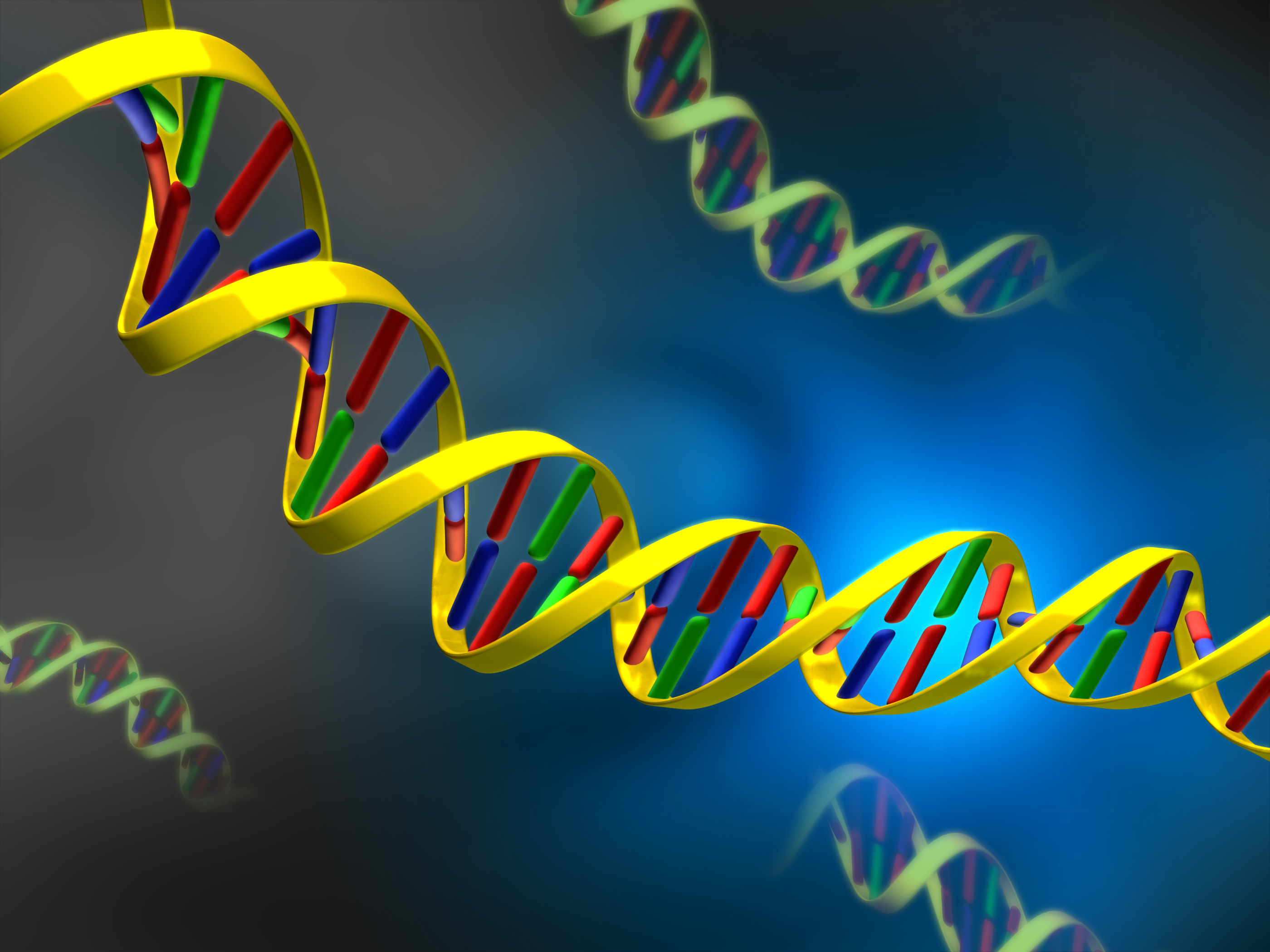 Nucleic Acid